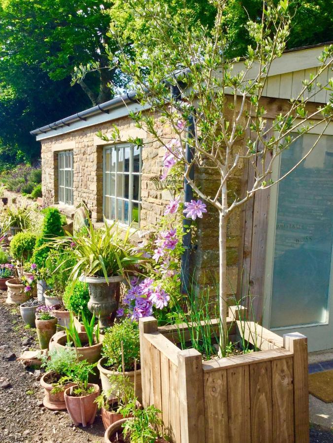Lavender Cottage 글로스터 외부 사진