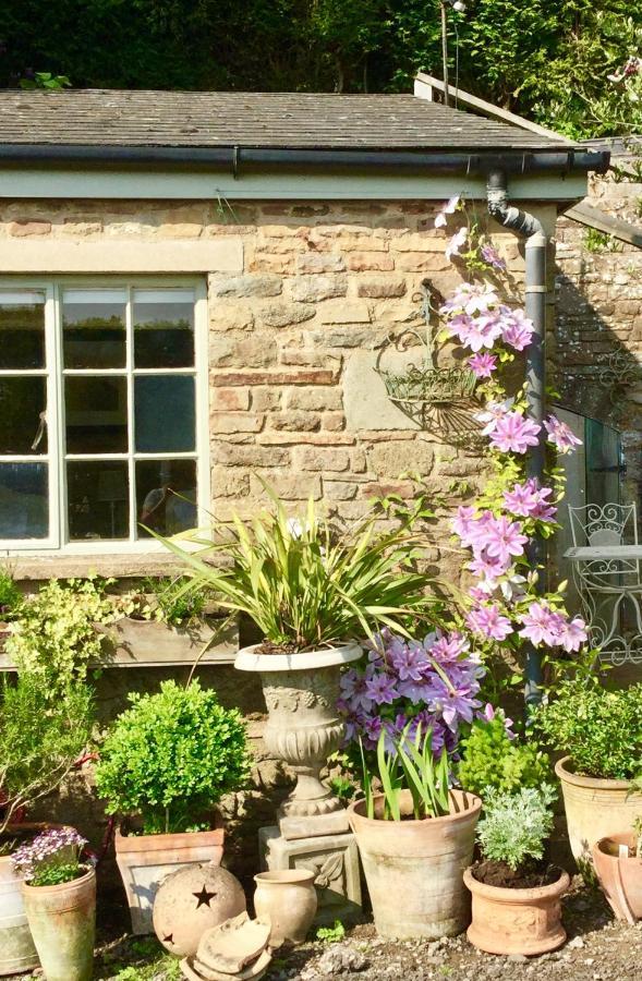 Lavender Cottage 글로스터 외부 사진