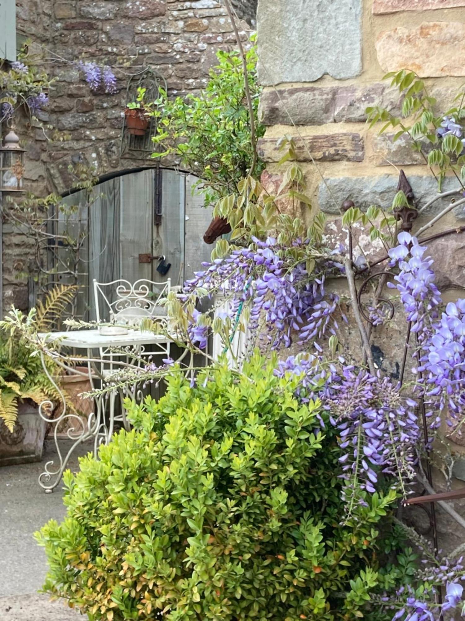 Lavender Cottage 글로스터 외부 사진
